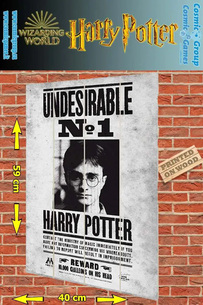 harry potter undesireable n.1 wood print