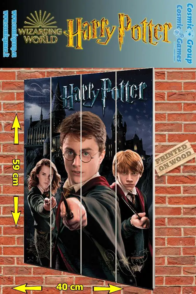 hp harry ron hermione wood print