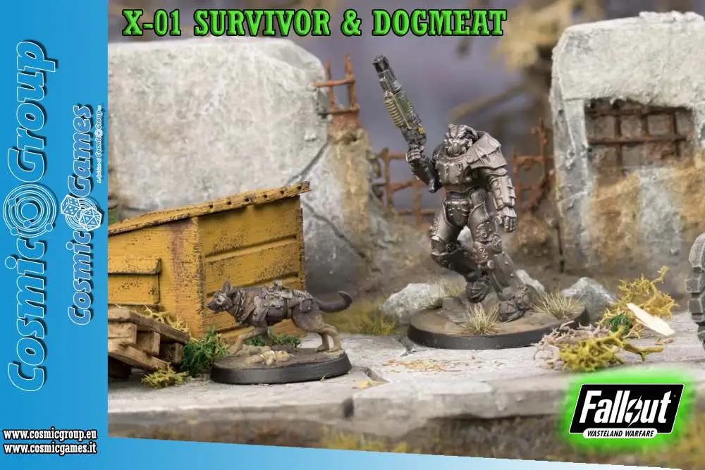 fww x-01 survivor & dogmeat
