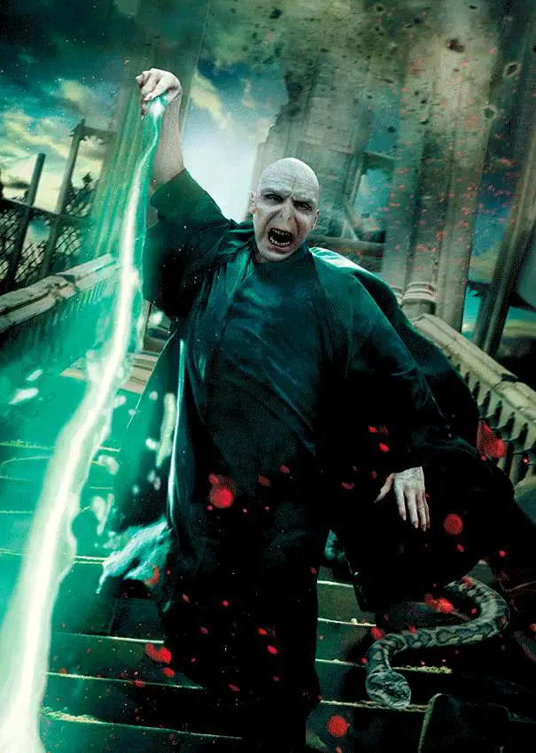 hp voldemort poster 3d effect noteboook