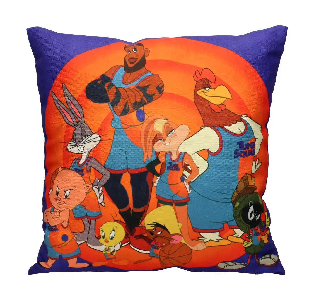 looney tunes space jam cushion