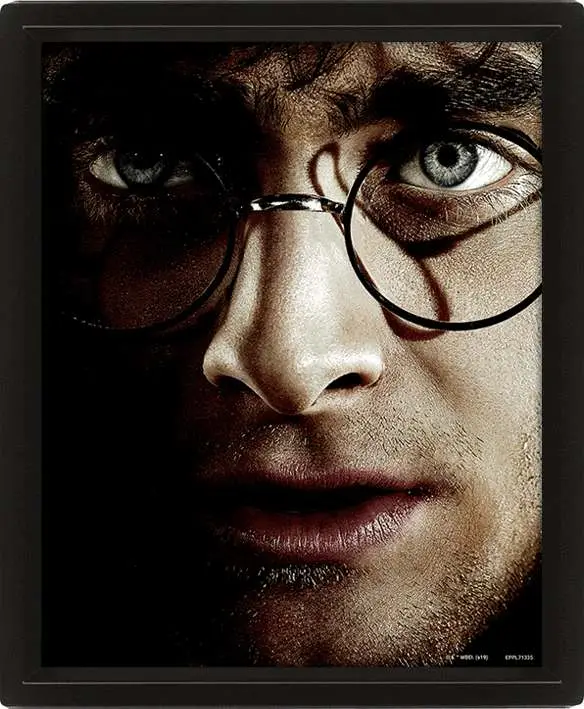 hp harry vs voldemort poster 3d