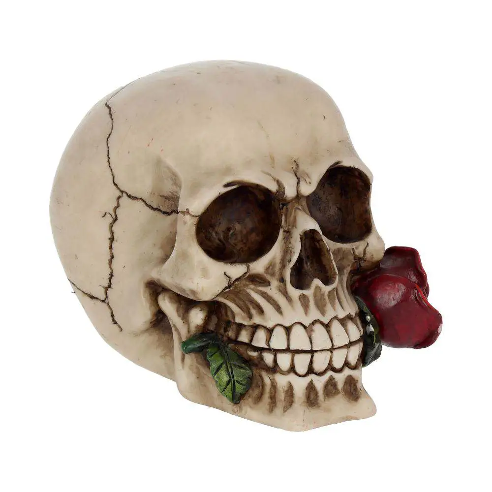 skull gothic rose from the dead