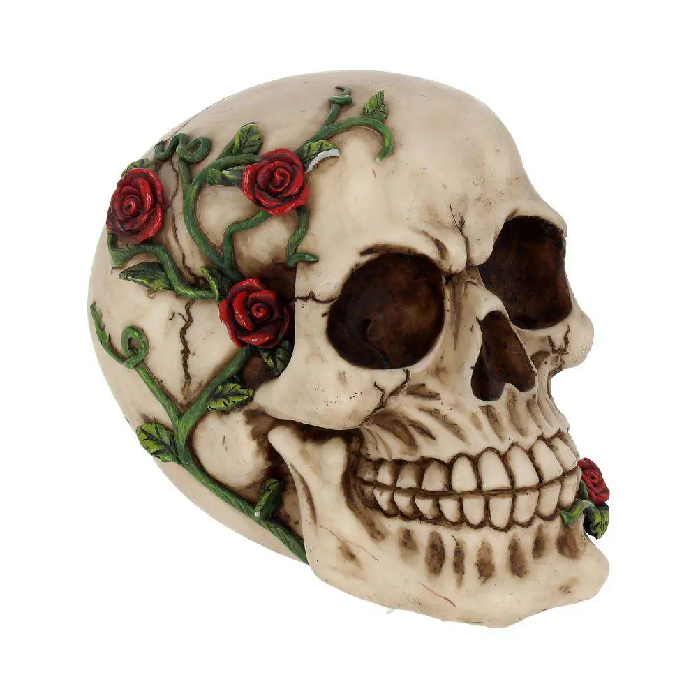 skull gothic rose from beyond