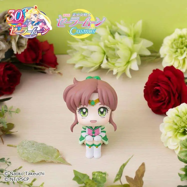 lookup sailor moon cosmos sailor jupiter