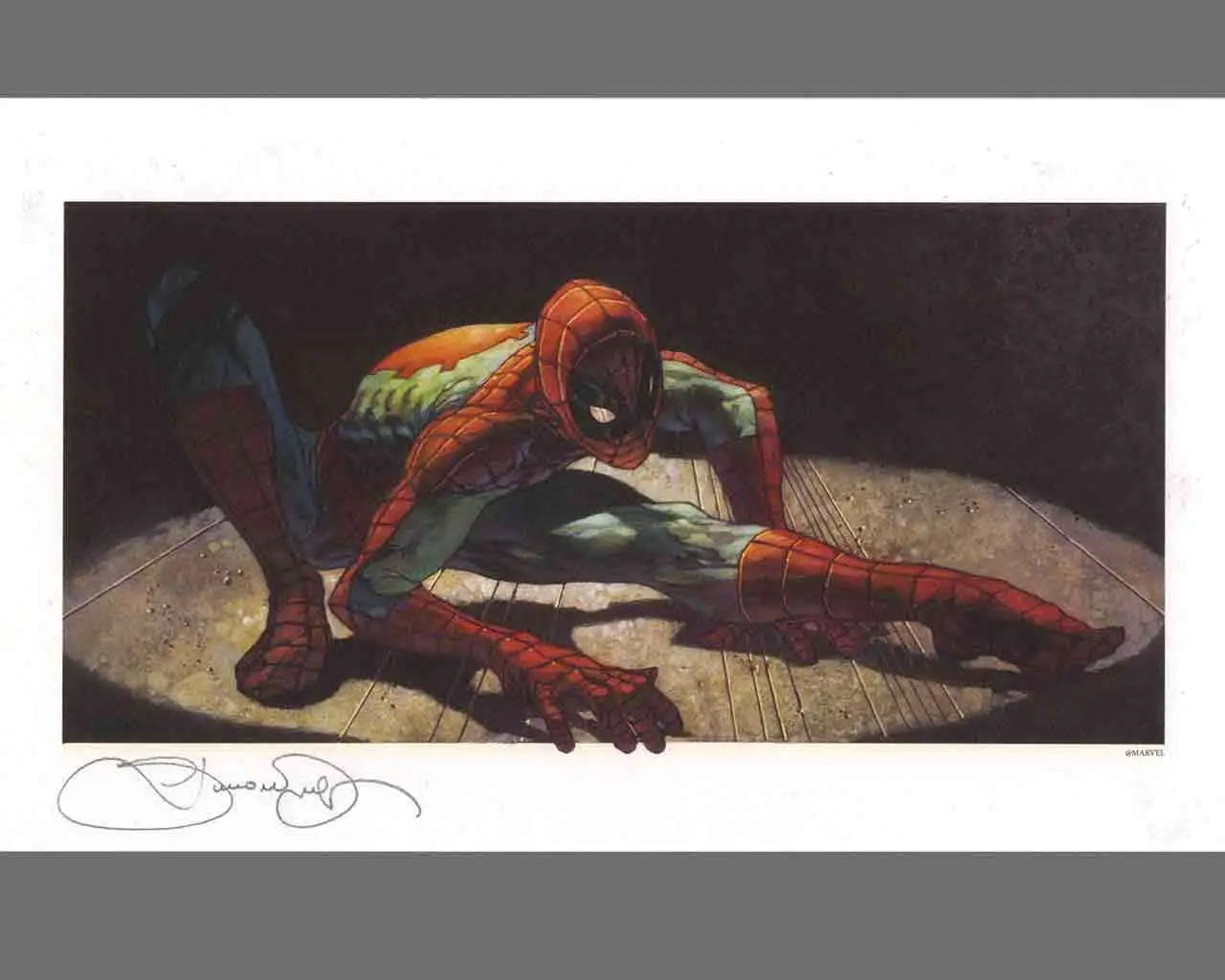 simone bianchi - the amazing spider-man - limited edition lytho