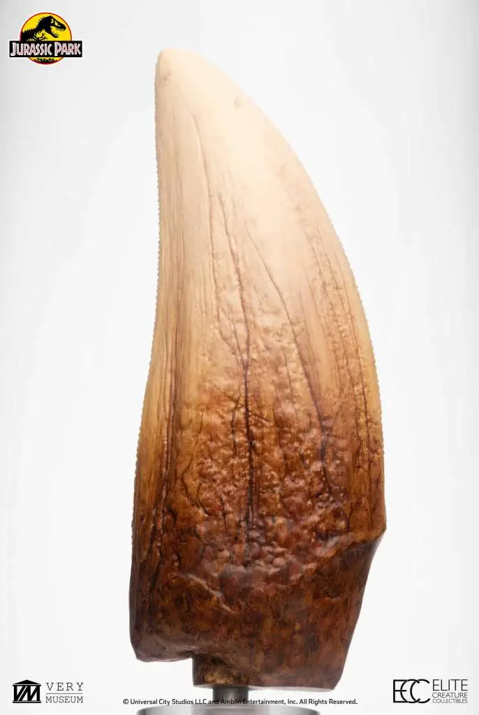 jurassic park screen used t-rex tooth reproduction