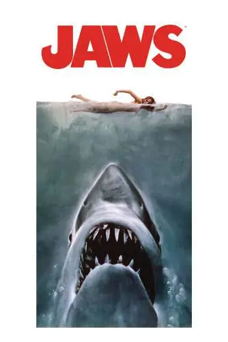 jaws beach poster towel